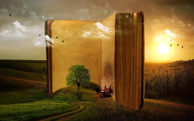Livres de Yoann Fonte