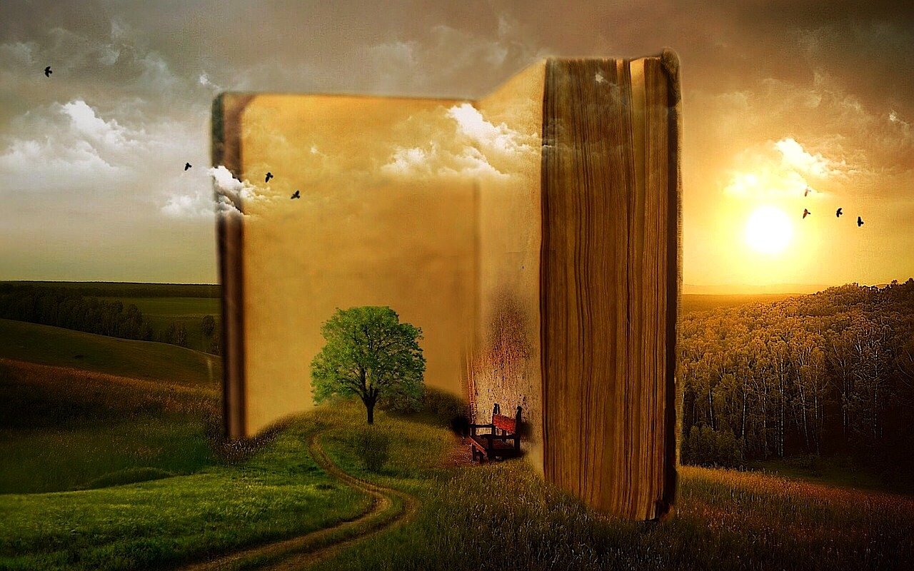 Livres de Yoann Fonte
